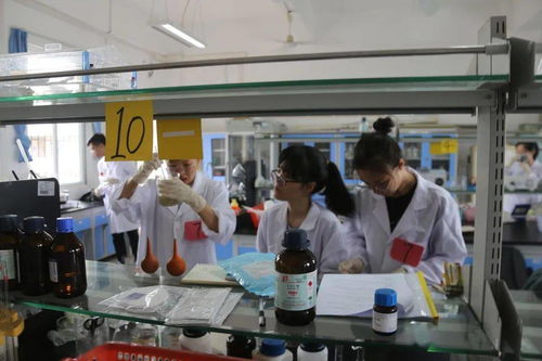 探索食品中的科學 食品科技學院風貌及其在計算機技術培訓中的融合